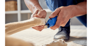 Dremel 416HP Diamond Coated Pet Grooming Accessory