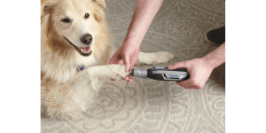 Dremel AT02-PGK Pet Grooming Attachment Kit