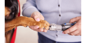 Dremel AT02-PGK Pet Grooming Attachment Kit