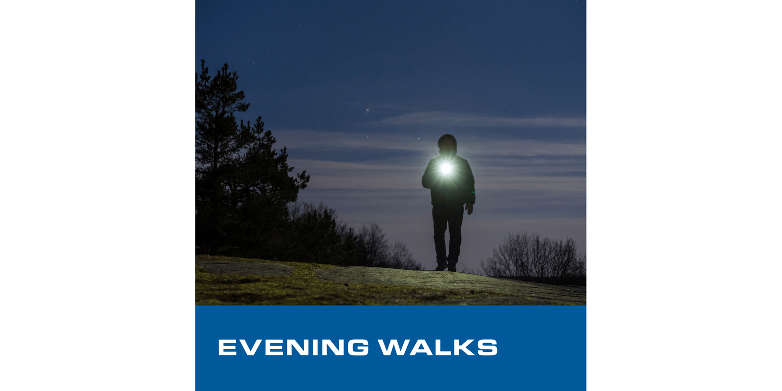 hsfl-01-209525-png-16-9-258108_w_1600_h_800-1