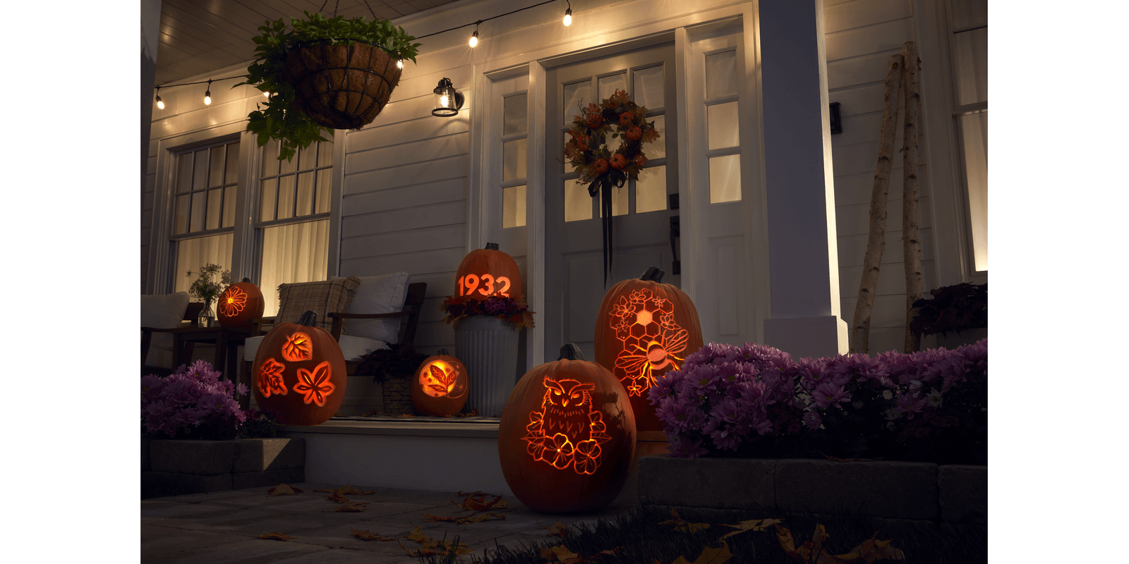 hsfl-01-209525-png-16-9-258729_w_1600_h_800-1